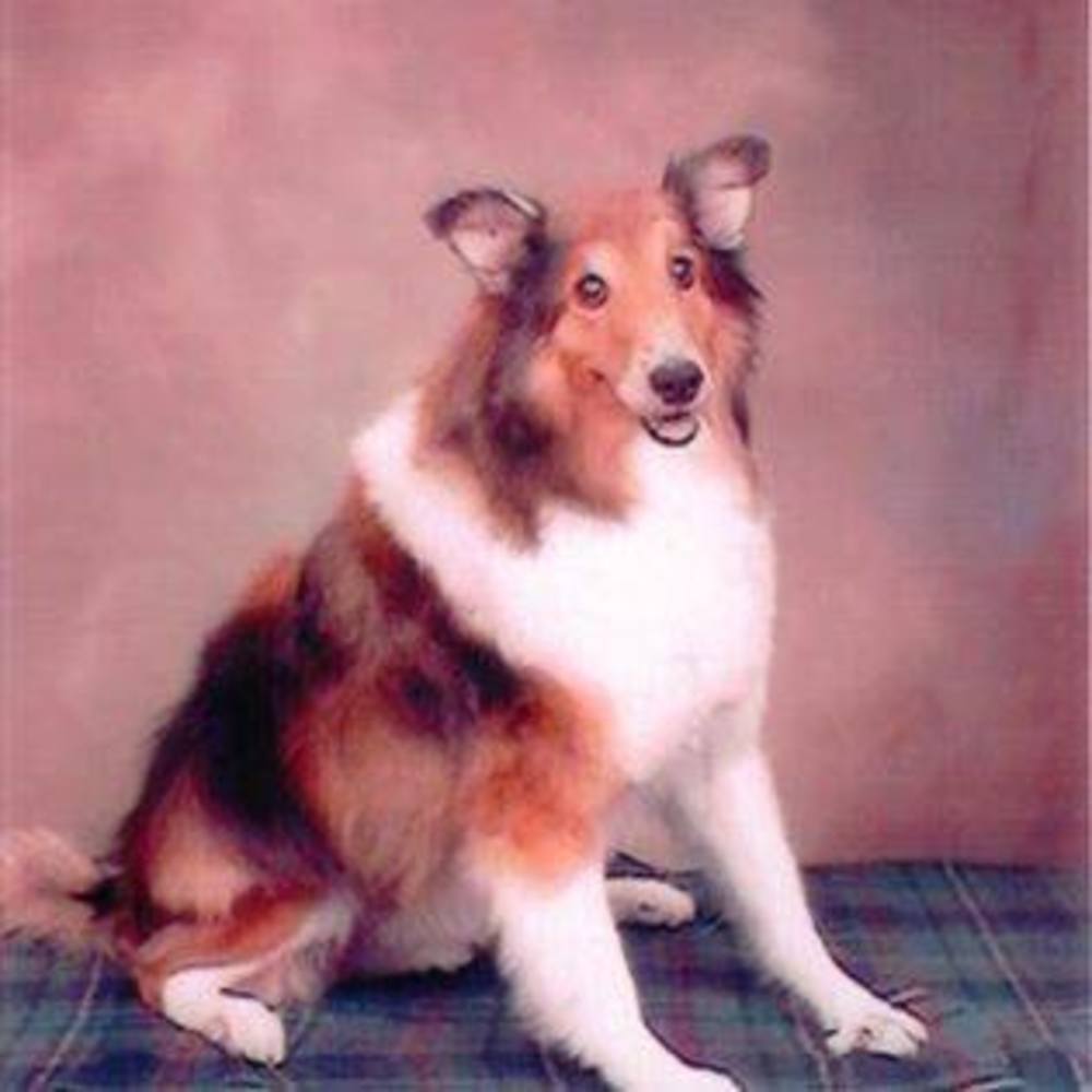 Meet your Posher, Hugh